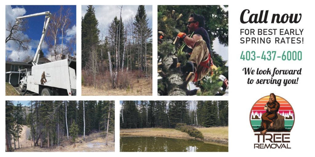 Tree Pruning in Calgary