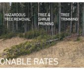 Tree Removal Service in Calgary, Airdrie and area