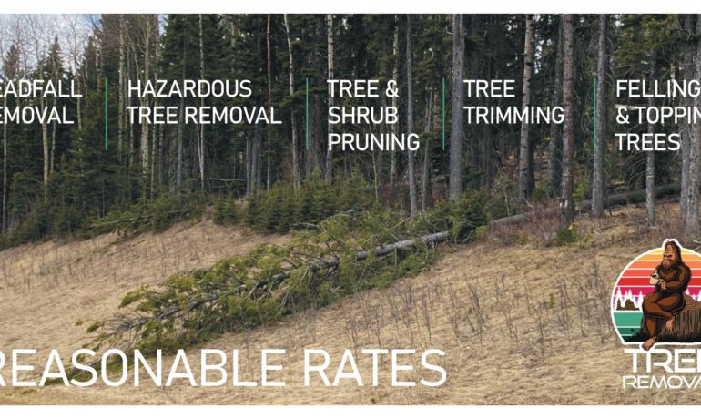 Tree Removal Service in Calgary, Airdrie and area